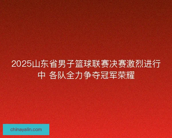 2025山东省男子篮球联赛决赛激烈进行中 各队全力争夺冠军荣耀
