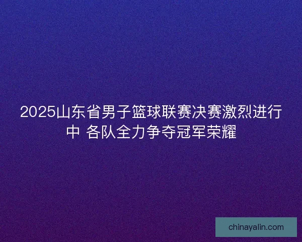 2025山东省男子篮球联赛决赛激烈进行中 各队全力争夺冠军荣耀
