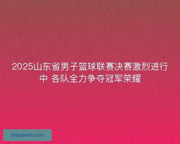 2025山东省男子篮球联赛决赛激烈进行中 各队全力争夺冠军荣耀