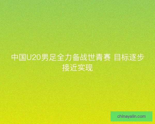 中国U20男足全力备战世青赛 目标逐步接近实现 中国U20男足全力备战世青赛 目标逐步接近实现